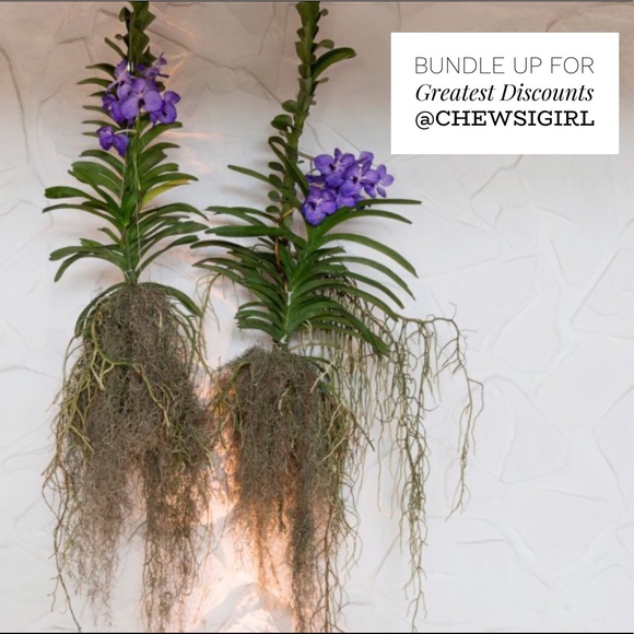 Hello Hello!! - Picture 1 of 3